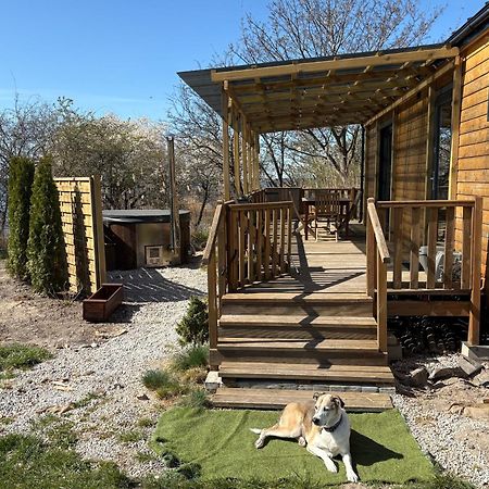 Tiny Beach House Heated And Airconditioned Wapnica  Exterior photo